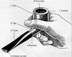 l art de savoir tailler une pipe
