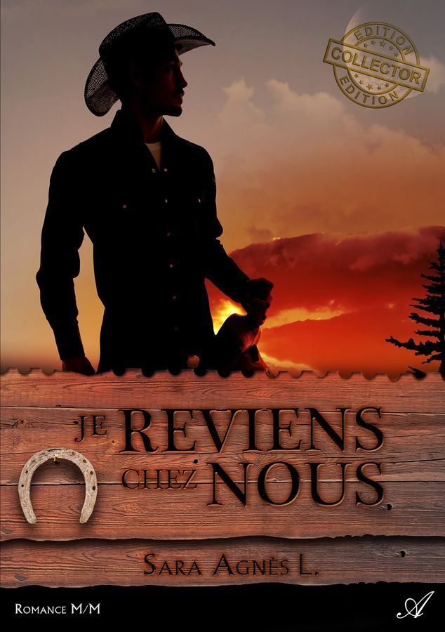 je reviens chez nous livre de sara agn l atramenta je reviens chez nous livre de sara agn l atramenta