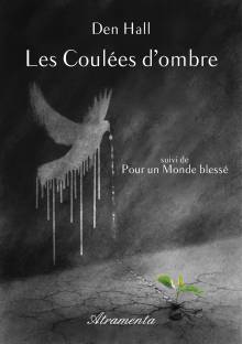 Couverture "Les coulées d'ombre"