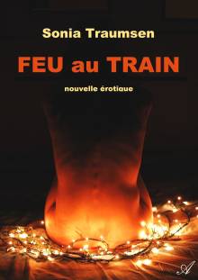 Couverture "Feu au train"