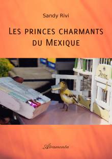 Couverture "Les princes charmants du Mexique"
