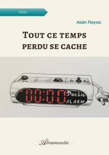Couverture "Tout ce temps perdu se cache"