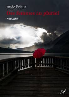 Couverture "Des femmes au pluriel"