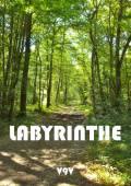 Couverture de "Labyrinthe"