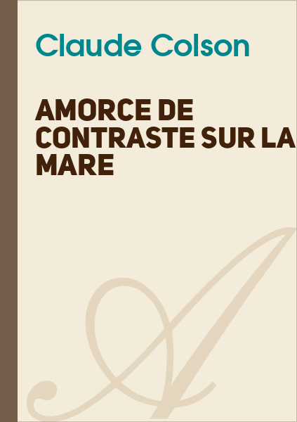 Amorce de dissertation sur la posie